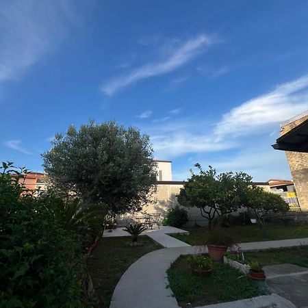 Cycas Villa Cellole Exterior photo
